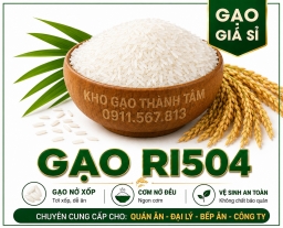 Gạo RI504