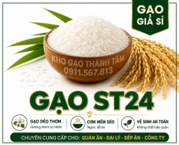 GẠO ST24