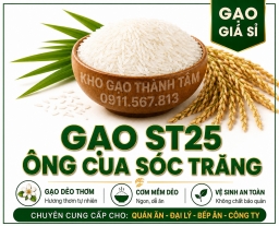 Gạo St25 Ông Cua Sóc Trăng 