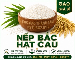 Nếp Bắc Hạt Cau 