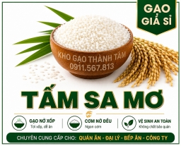 Tấm Sa Mơ 