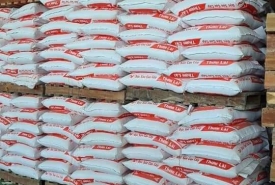 Địa Chỉ Mua Gạo Từ Thiện Uy Tín Tại TP.HCM Và Các Tỉnh Lân Cận – Kho Gạo Thành Tâm