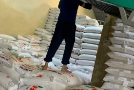 Địa Chỉ Cung Cấp Gạo Từ Thiện Giá Tốt Tại TP.HCM Và Các Tỉnh Lân Cận