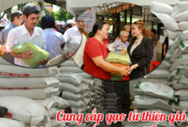 Gạo từ thiện giá sỉ 