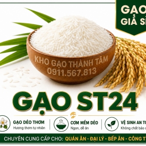 GẠO ST24
