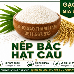 Nếp Bắc Hạt Cau 