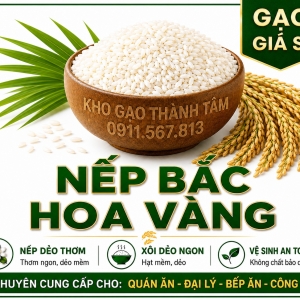 Nếp Bắc Hoa Vàng 