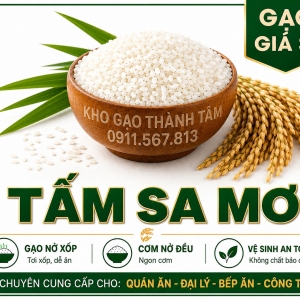 Tấm Sa Mơ 
