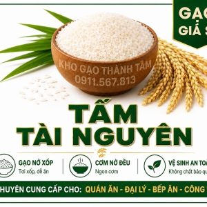 Tấm Tài Nguyên 