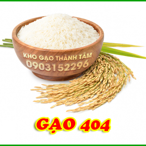 Gạo 404 