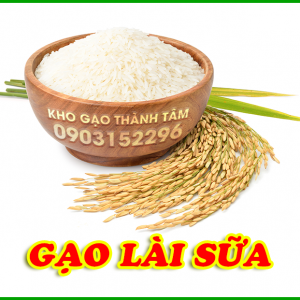 Gạo Lài Sữa 