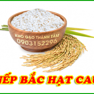 Nếp Bắc Hạt Cau 